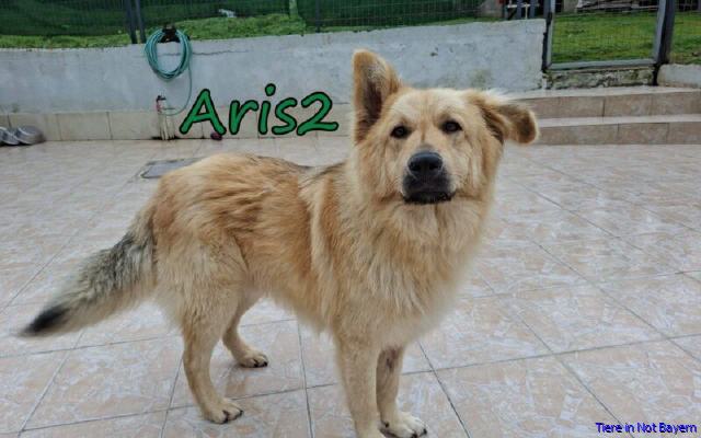 Aris2