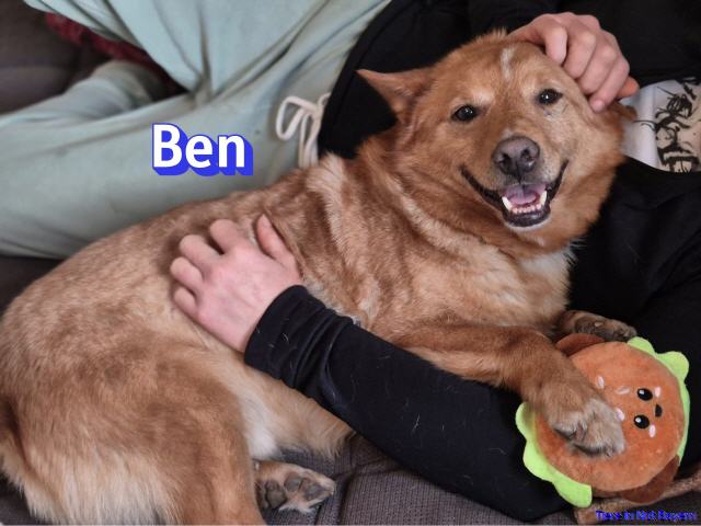Ben