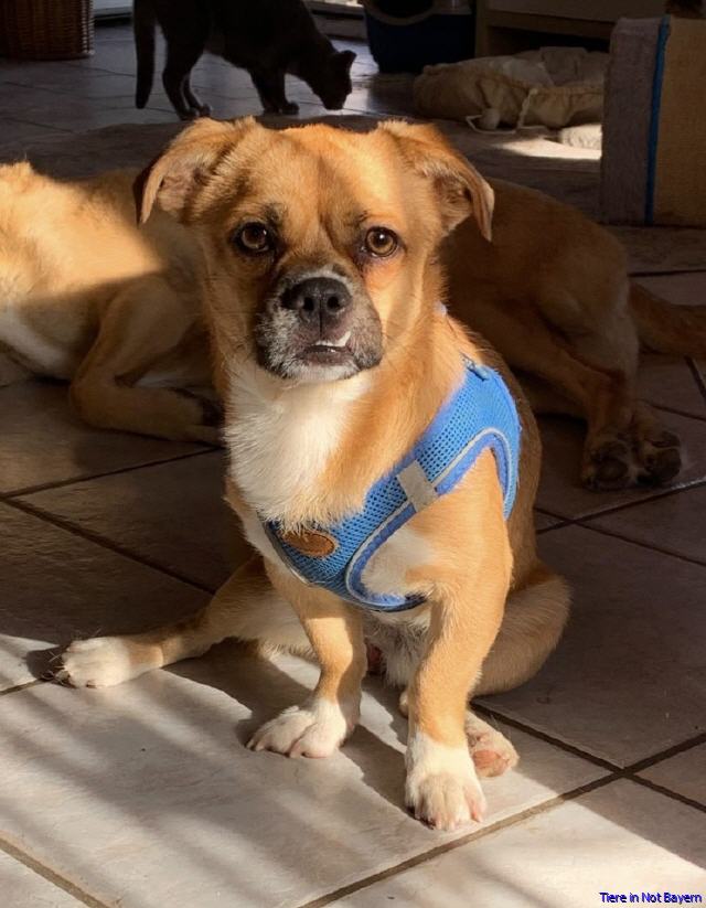Max