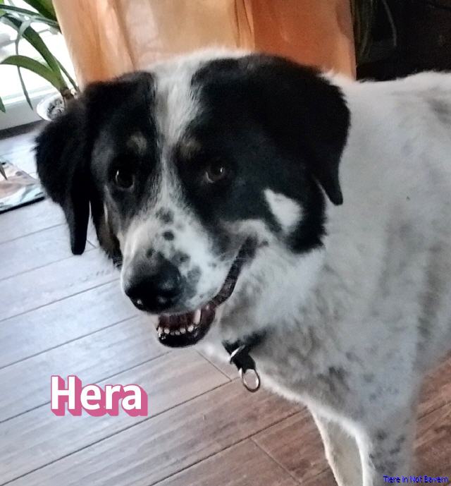Hera